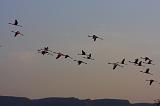 TANZANIA - Lake Natron - 065